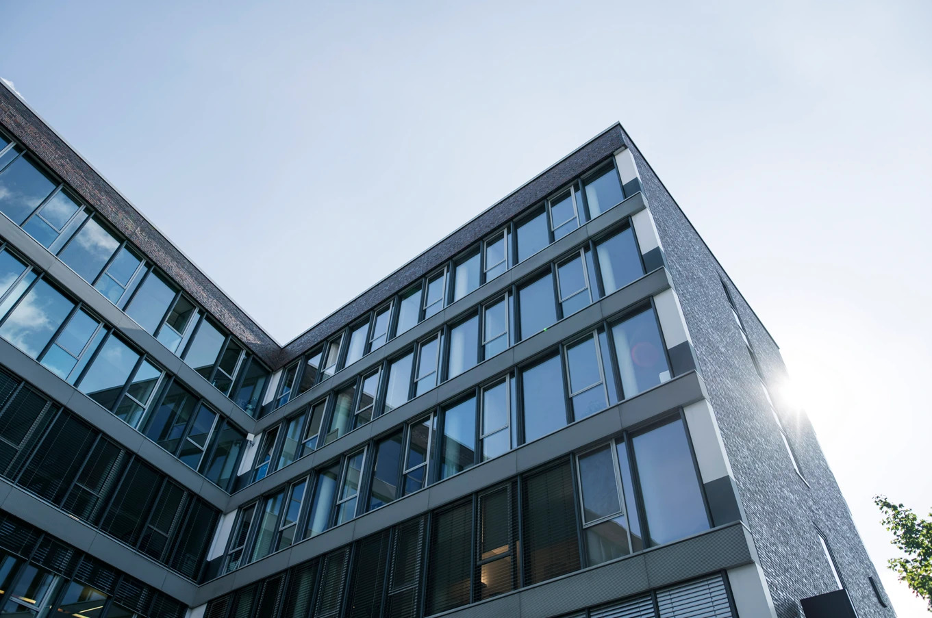 Clayston Rechtsanwälte für Arbeitsrecht
